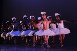 Théâtre : Swan Lake d'apres Tchaïkovski au Théâtre du Rond Point