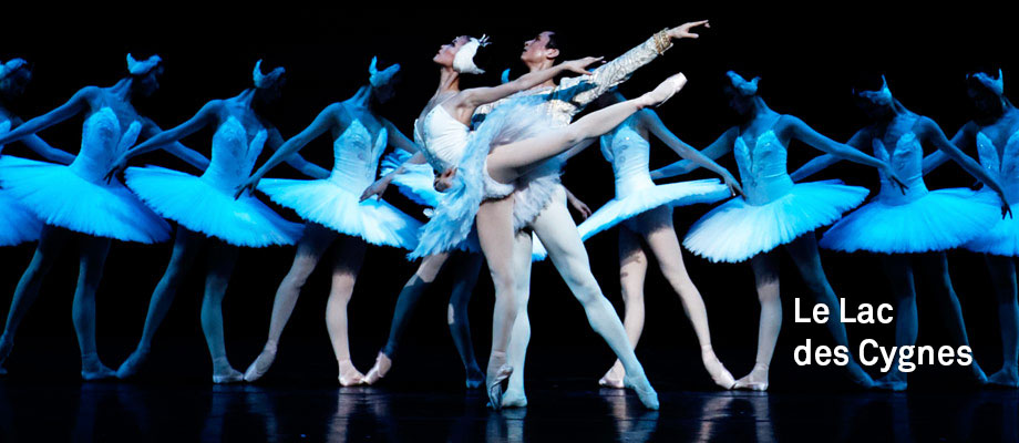 Théâtre / Musical / Danse : Le lac des Cygnes d'après Tchaïkovski