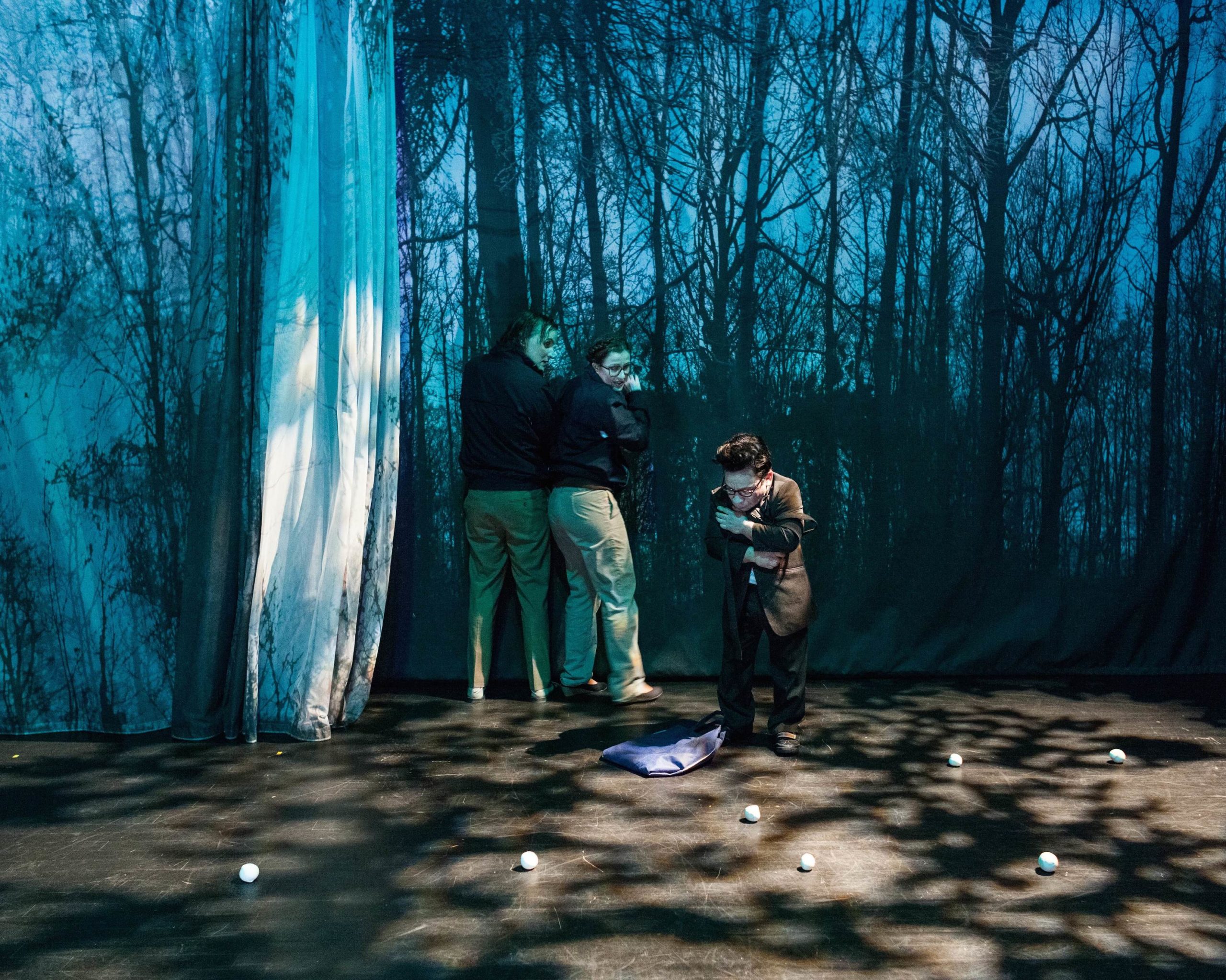 Théâtre : Le Petit Poucet ou du bienfait des balades en forêt dans l'éducation des enfants