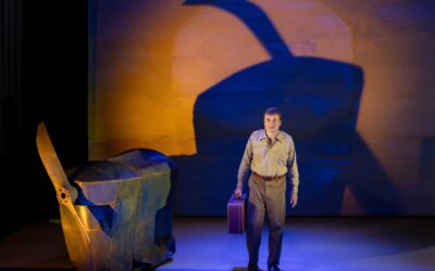Festival Off Avignon : « St Exupéry, le commandeur des oiseaux » de Mathieu Rannou